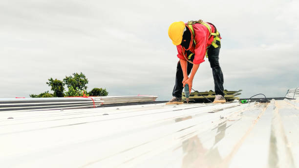 Best Metal Roofing Installation  in New Brighton, PA