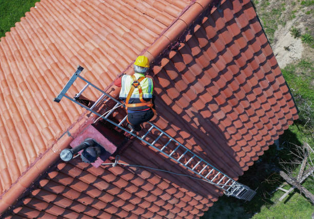 Best Asphalt Shingle Roofing  in New Brighton, PA